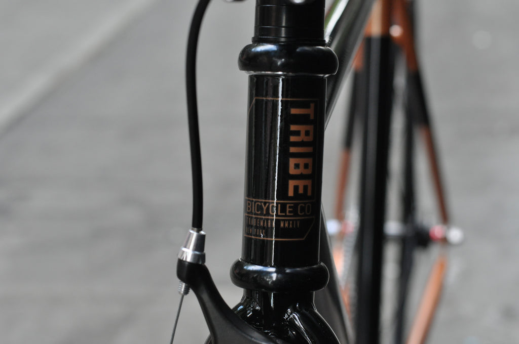 Tribe Bicycle Co crmo series Fixed Gear Single Speed Bike Aeon