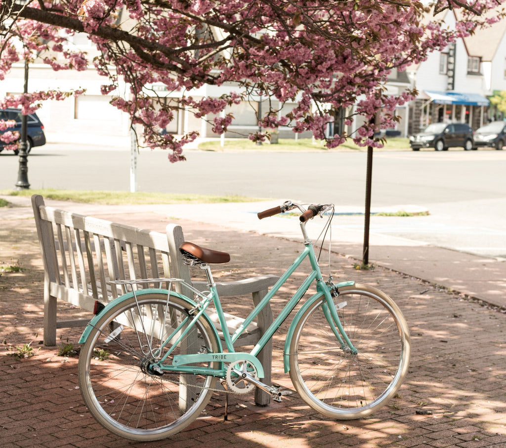 Tribe Bicycle Co City Series Omafiets Cruiser Bike Champagne Dutch Bike Turquoise Billie Carroll Knowlita