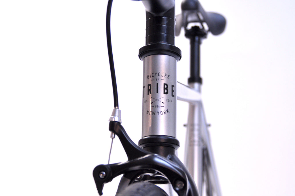 Tribe Bicycle Co Hi ten series Fixed Gear Single Speed Bike Raider